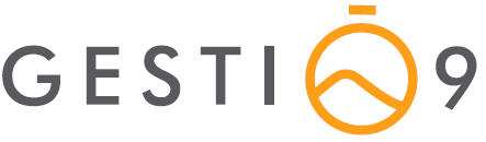 Gestió 9